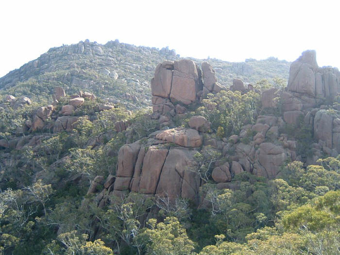 43 Tasmania.jpg